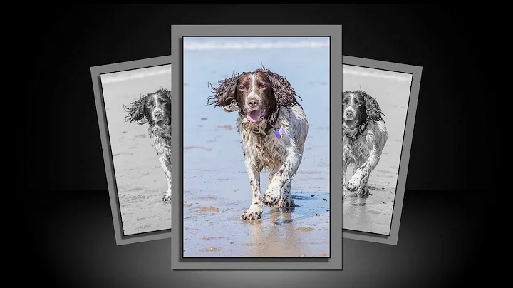 CLYDE SLIDESHOW
