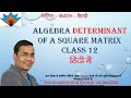 Determinants Class 12 with Problems | Maths Chapter 4|6 Determinant in Hindi ! Complete Determinants