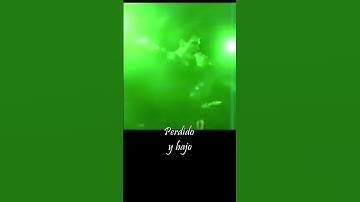 Thumbnail of Corpus Delicti - Absent Friend #gothicmusic #gothicrock #goth