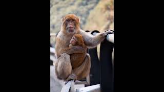 Add 27 photos to this sound and let it Sync 📸