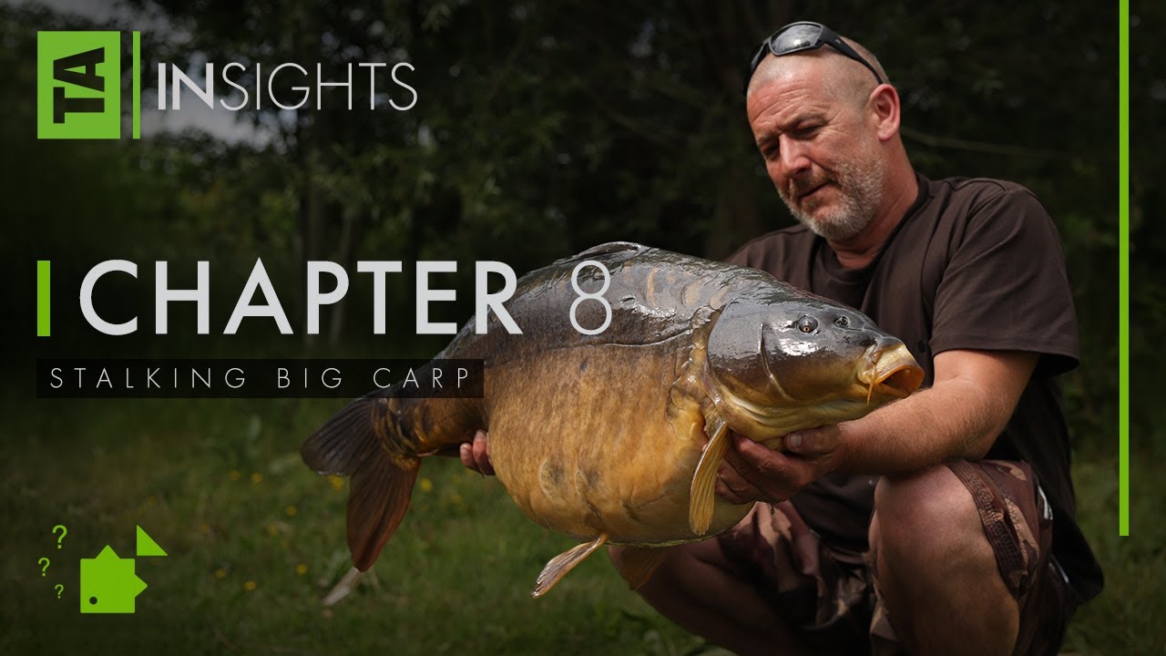 TA|Insights | Volume Two | Chapter Eight | Stalking Big Carp | Steve Renyard