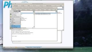 ST 4U 540: Basic Pharo Usage 4