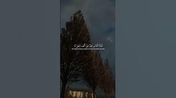 القران الكريم بصوت الشيخ ماهر المعيقلي #قرآن #quran #راحة_نفسية #تلاوة_خاشعة #سبحان_الله_وبحمده
