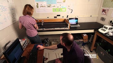 Daniel Goldman: FlipperBot Reveals Principles for Moving on Sand