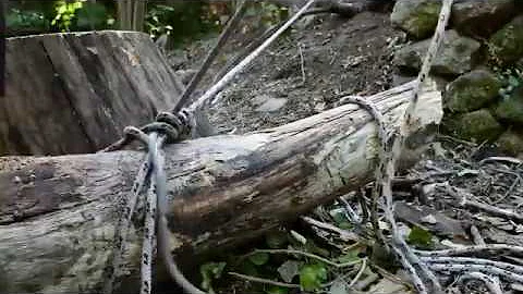 Comment soulever un tronc d'arbre ?