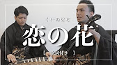 沖縄の歌 恋の花 歌詞付き 沖縄音楽 Youtube