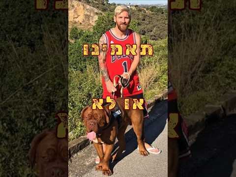 מסי בקרב המטורף מול הכלב הענק שלו לא תאמינו מי ניצח כדורגל Football Messi Dog Shorts 