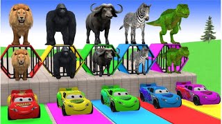 Long Slide Game with Dinosaur Lion Cow Hippopotamus Gorilla 3d Animal Game Funny 3d Animals