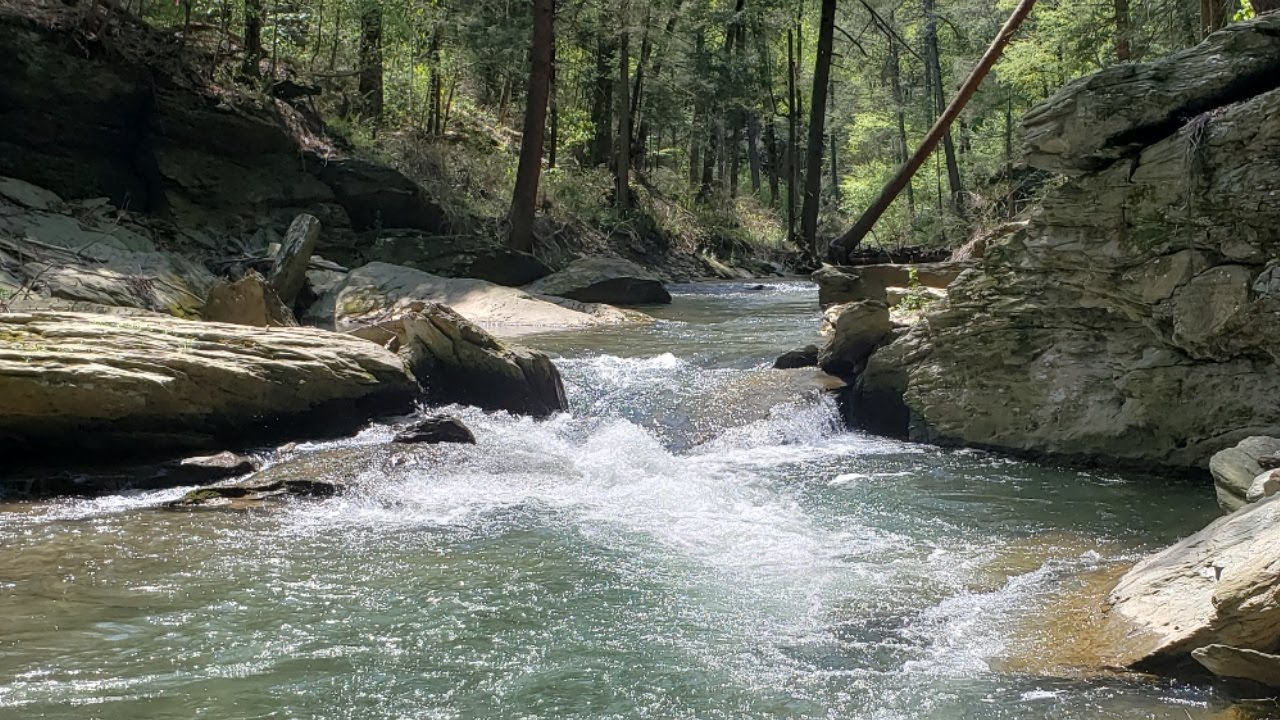 PA Trout Fishing Beautiful Stream with Browns, Brooks, and Rainbows