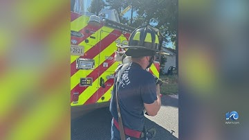 Cat rescued from VB tree after being stuck for days