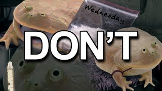 Dont Do Wednesdays