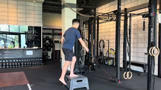 Single Arm Cable Step-Up (Step-Down)