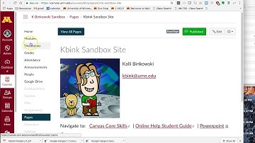 Adding Files to your Canvas Course
