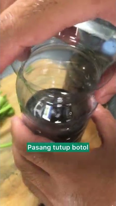 Growing Celery from Stems