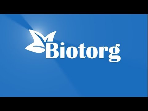 Инкубатор автоматический WQ-24 - YouTube