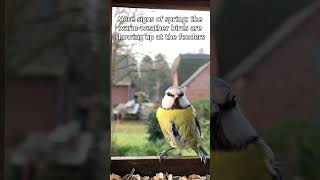 More Signs of Spring!
When the warm-weather birds are at the feeders, you know the nice weather is here! #funny More Signs of Spring!