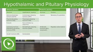Review of Hypothalamic and Pituitary Physiology – Endocrinology | Lecturio