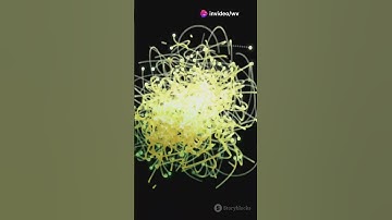 Schrödinger’s Equation: The Mind-Bending Math of Quantum Mechanics