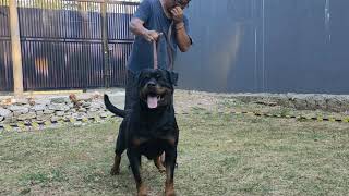 Ina Ch Mejson Earl Antonius