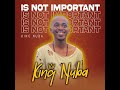 King Nuba - Is Not Important (Audio)