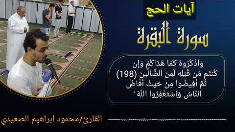 سوره البقره ايات الحج /من صلاه العشاء/القارئ محمود ابراهيم الصعيدي