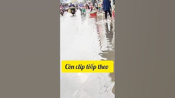 Lũ lụt miền tây là đây, nước vẫn chưa rút. #shorts  Thanh Tâm Official