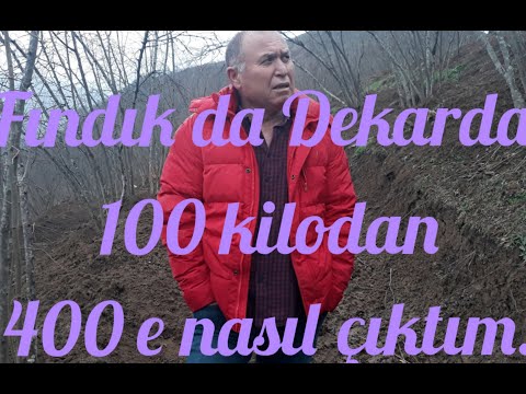 Video: Teraslama Yöntemi