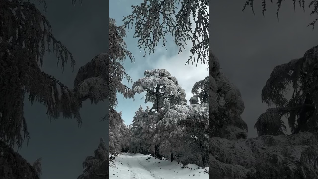 Where history meets beauty… Welcome to Morocco! 🇲🇦✨ 