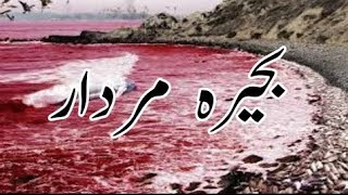 Behre Murdar The Dead Sea Reality