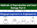Megasporogenesis in Angiosperms| Methods of Reproduction and Seed Biology Part-6|