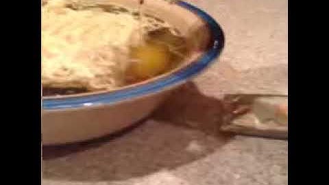 Breaking egg in reverse