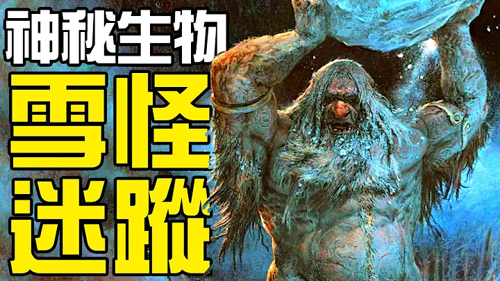 【UMA丨喜马拉雅雪怪】由喜马拉雅雪地发现的巨大类人脚印引出的怪物传说！雪人传说确有其事还是只是一种未知巨熊？丨神秘动物学UMA羊驼解说丨黑毛羊驼 - 天天要闻