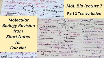 Molecular Biology Revision | Short Notes for CSIR NET, GATE, DBT, ICMR