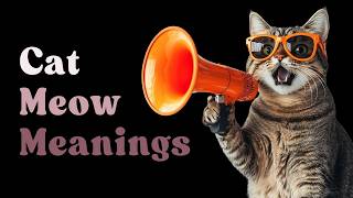 9 SOUNDS Cats Make and WHAT They MEAN