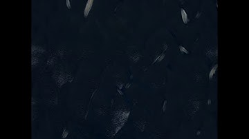 Wall GAN   Generate Interpolation Video