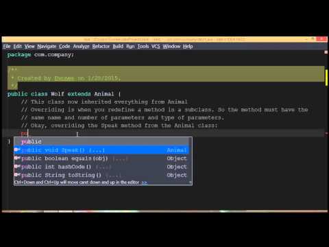 Overloading and Overriding in Java