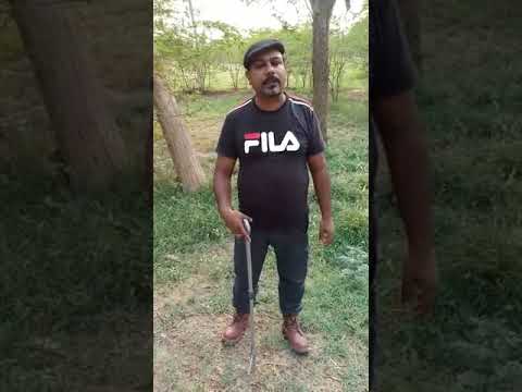 camera iphone 8 plus apk Imran brother released a Kite