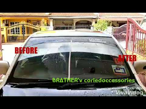 Brather V Automotive Lighting Expert
