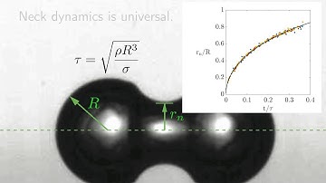 Diffusively-growing gas bubble coalescence