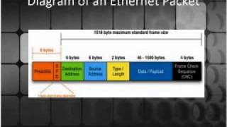 The Data Link Layer of the OSI Model (Layer 2)