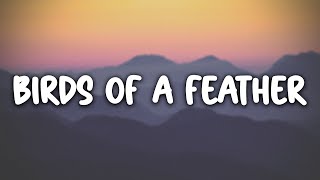 Billie Eilish - BIRDS OF A FEATHER (Lyrics)