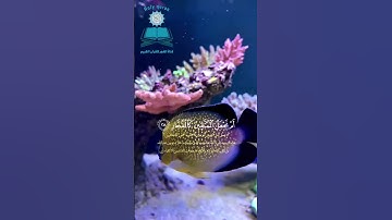 ﴿ وَمَا خَلَقْنَا السَّمَاءَ وَالْأَرْضَ وَمَا بَيْنَهُمَا بَاطِلًا ۚ.. 🌙 تلاوة تدبرية 🌟 سورة ( ص )