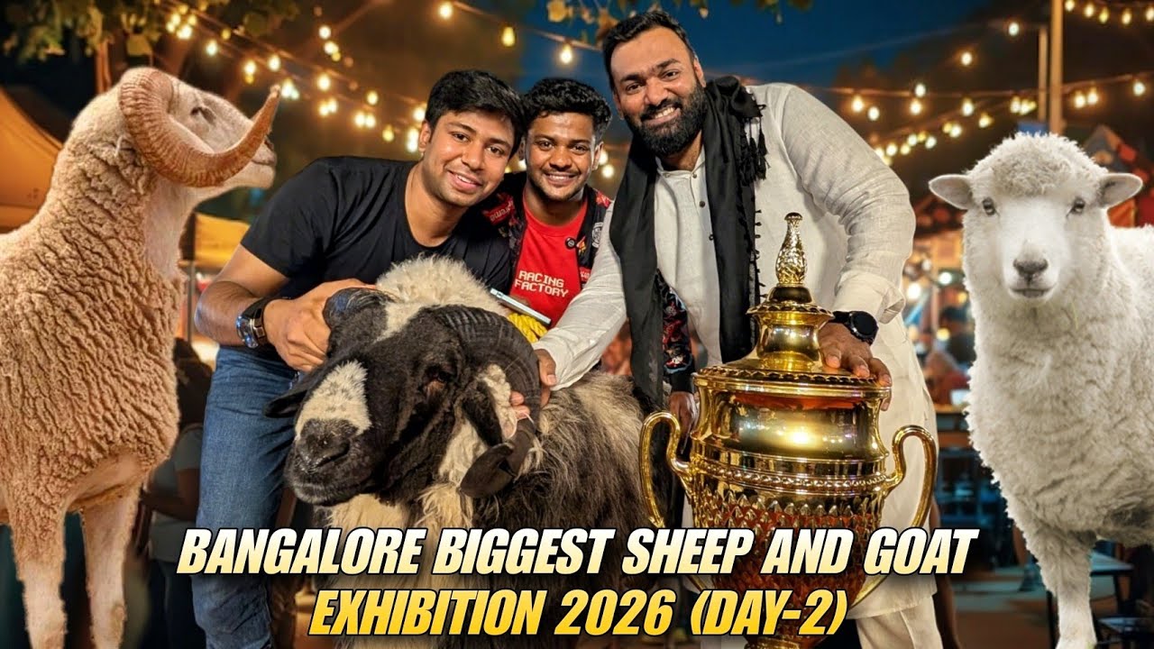 Bangalore Biggest sheep and goat Exhibition 2026 (Day - 2) Top quality goats and sheeps Exhibition