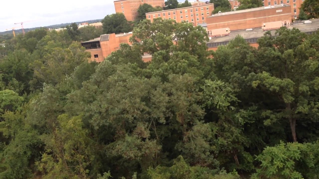 Dover Scenic Elevators Terraphin Trail Parking Garage in UMD in