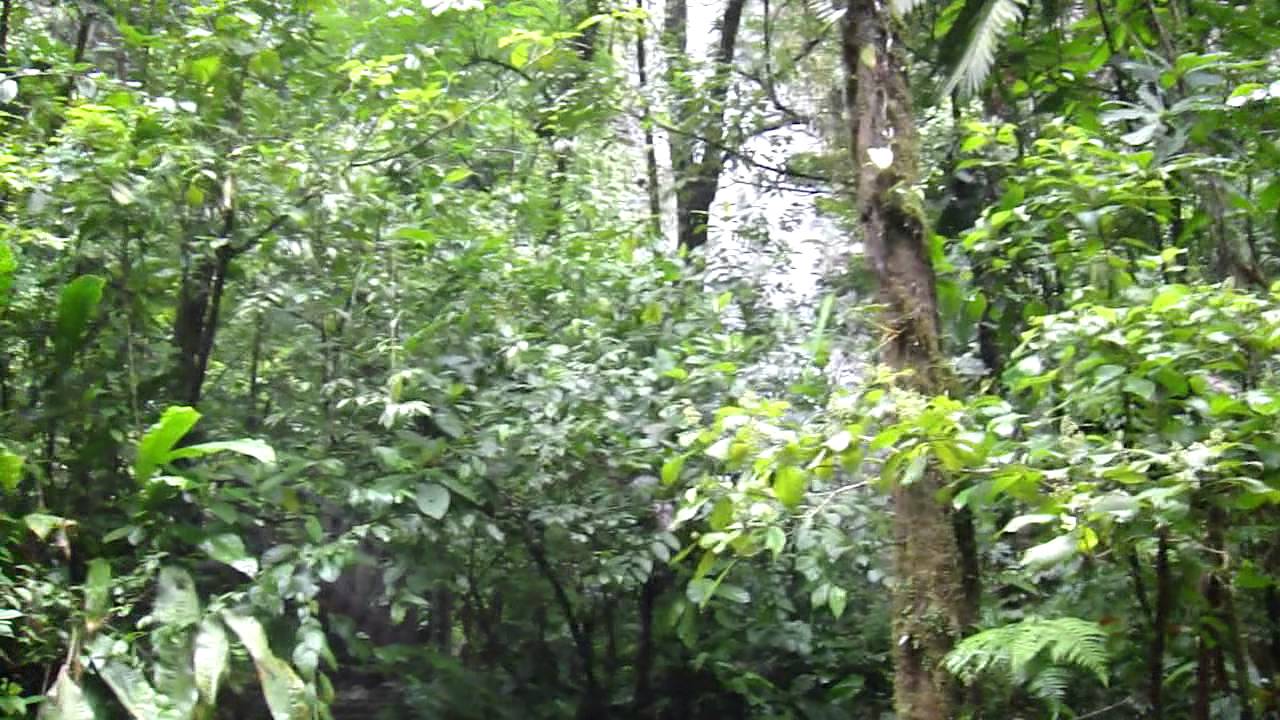 La Fortuna Waterfall 1