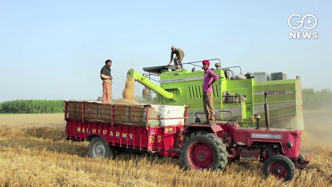 Blame Game and Pollution