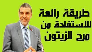 Dr Mohamed El Faid | نصائح الدكتور محمد الفايد | طريقة رائعة للاستفادة من مرج الزيتون