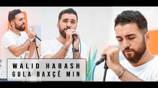 Walid Habash وليد حبش  | Gula Baxçê Min - Zinar Sozdar (cover) Resimi