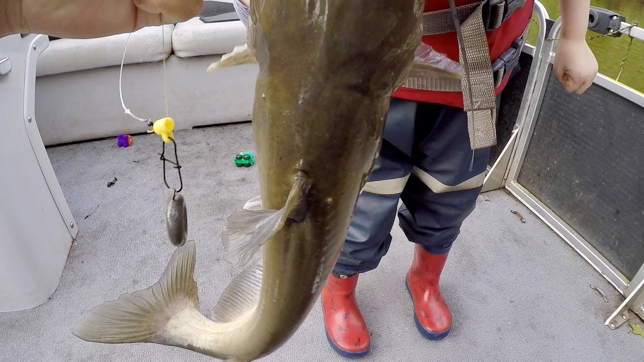 How to Catch BIG Catfish - Baits, Rigging, Cast Net Tutorial, and