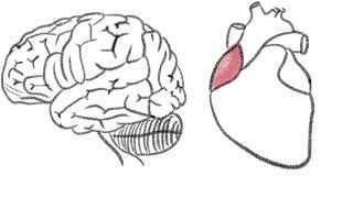 Brain & Heart by Melanie Martinez Animation